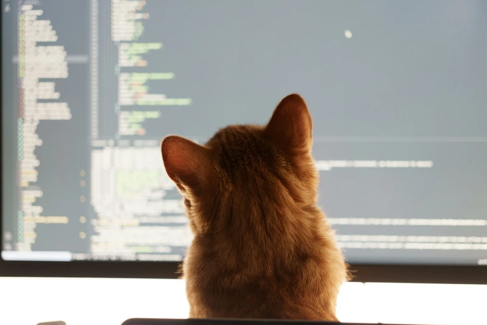 Desenvolvedor usando vibe coding com assistente de IA gerando código na tela